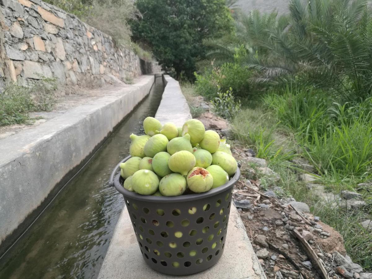 Basmat Almisfah Al Hamra Exterior foto